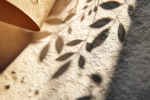 Botanical leaf shadows fall across a textured paper surface in warm natural light. Great for background design, organic branding, eco-friendly concepts, and artistic visual storytelling