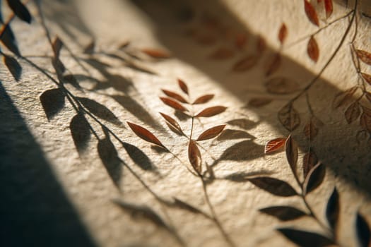 Botanical leaves and their soft shadows fall across warm, golden textured paper in gentle sunlight. A calm and natural setting perfect for eco design, packaging, or branding visuals