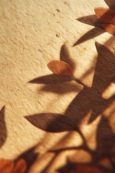 Shadow of delicate leaves falling over textured beige paper in warm sunlight. Ideal for botanical designs, eco branding, craft packaging, and seasonal creative projects