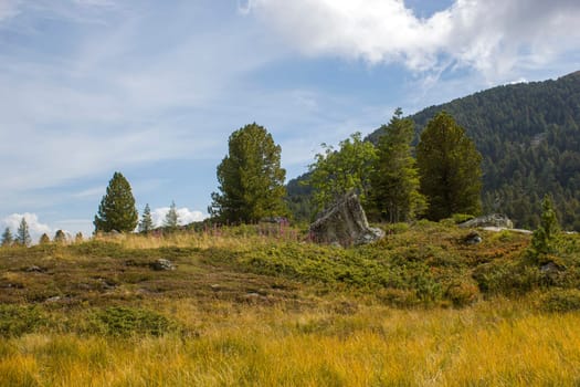 Landscape in Austian Alps, Steiermark, Austria