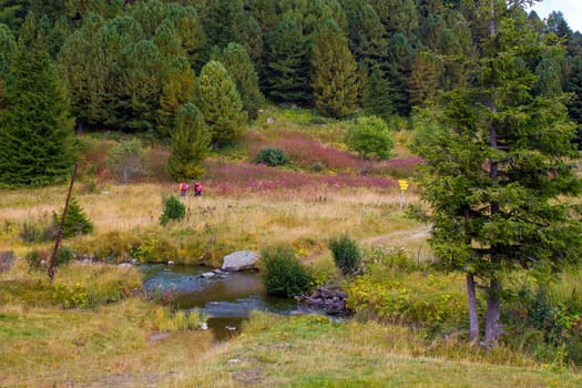 Landscape in Austian Alps, Steiermark, Austria