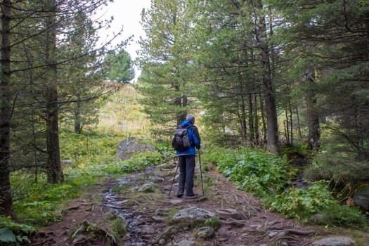 man trekking in the mountains, Alps in Austria, Steiermark