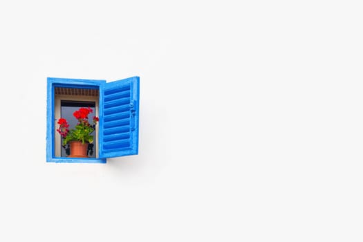 A plain white wall with opened blue window with a potted plant