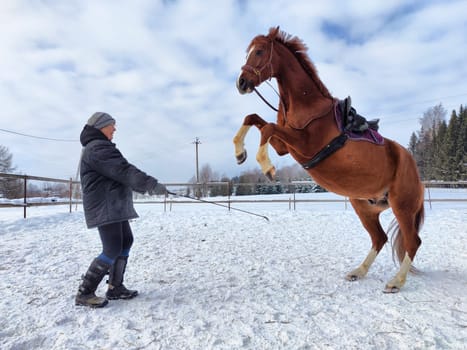 A rider maintains control of a horse that's rearing up in a snowy outdoor arena surrounded by trees under a cloudy sky.