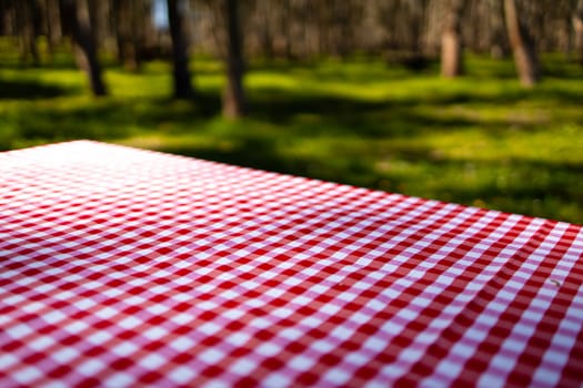 Red checkered picnic tablecloth on table in sunlit forest.