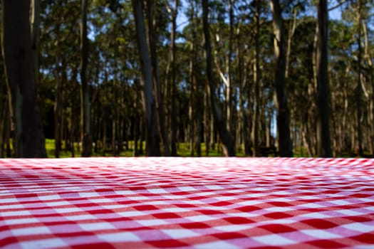 Red checkered picnic tablecloth in sunny forest clearing.