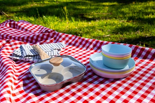 Outdoor picnic scene with red checkered blanket, plates, and cooking pan in sunlit park.