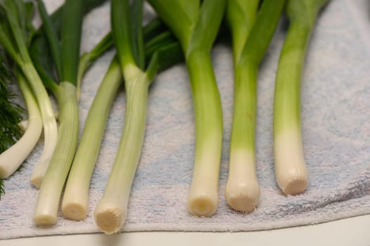 Clusters of fresh green onions lay neatly on a towel, showcasing their bright green tops and crisp white bases, harvested after the refreshing rain nourished the garden soil.