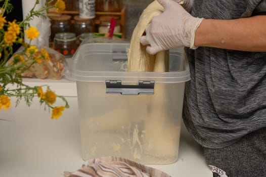 Hands skillfully stretch fresh dough inside a clear container on a kitchen counter adorned with vibrant flowers. The warm sunlight creates a welcoming atmosphere.