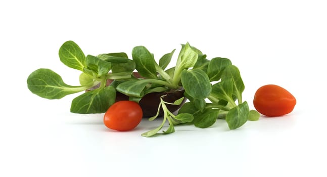 Vibrant mache lettuce leaves with fresh red cherry tomatoes placed against a clean white backdrop.