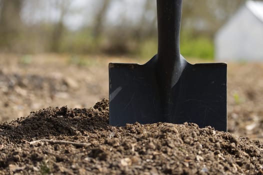 A black shovel is placed in the garden, ready for digging in the fertile soil during spring. The backyard in the background is blurred.