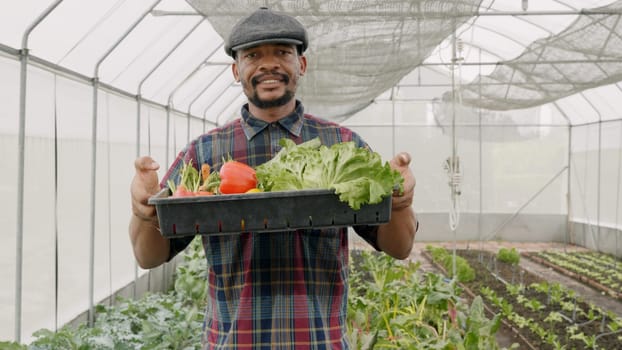Farmer man holding wooden box full of fresh raw vegetables in the hands, Concept of healthy eating growing vegetables at home