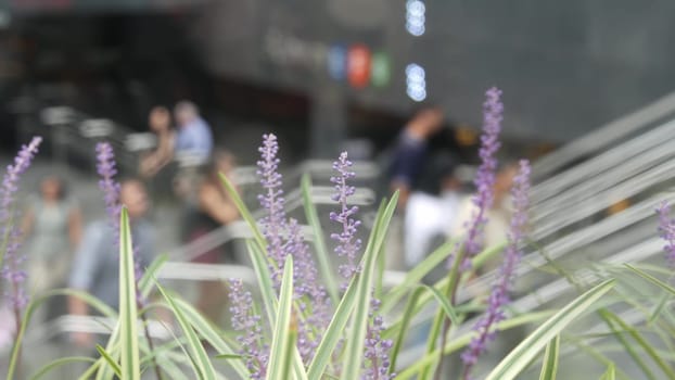 New York City, United States - 11 Sept 2023: Manhattan Midtown Lexington avenue, United States. Defocused people pedestrian, underground metro subway station, stairs on 53 street, urban USA. Greenery.