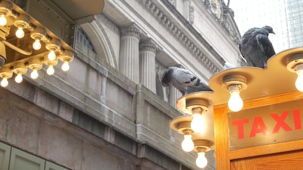 New York City, United States - 4 Sept 2023: Grand Central Terminal railway station building, 42 street. Manhattan Midtown. Yellow taxi kiosk, telephone call box, Pershing Square, NYC, USA. Pigeon bird