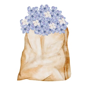 Bouquet of hydrangea in craft packaging watercolor. Flowers in a paper bag. Clip art botanical. Ideal for posters in a flower shop and cards for Women's Day and Mother's Day. High quality illustration