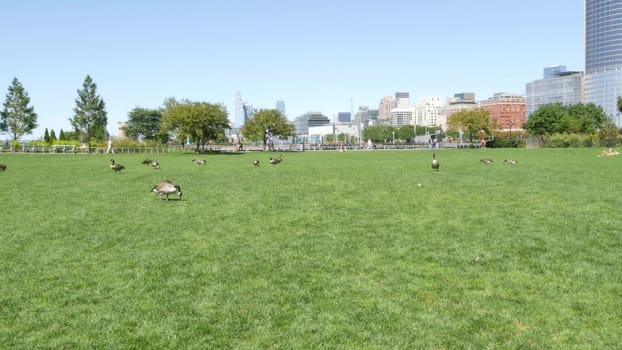New York City, United States - 31 Aug 2023: Waterfront, Manhattan skyline, Downtown Rockefeller Park. Hudson Yards riverfront skyscrapers, waterside cityscape. Wild goose migration, birds, grass lawn.
