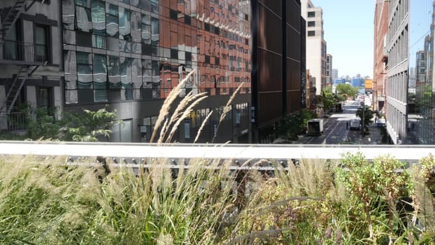 New York City, United States - 1 Sept 2023: High Line elevated greenway, Manhattan Midtown park, USA. Promenade in garden greenery. American street life, Chelsea Hudson Yards. Building architecture.