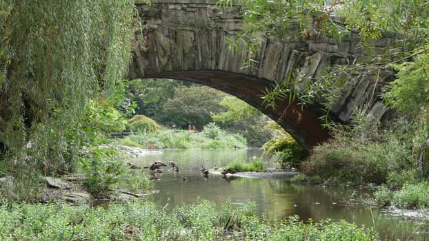New York City, United States - 11 Sept 2023: Manhattan Midtown. Central park on 5th Fifth 5 avenue, USA. American park in NYC. Arch architecture, garden greenery. Bridge on pond, people and duck birds