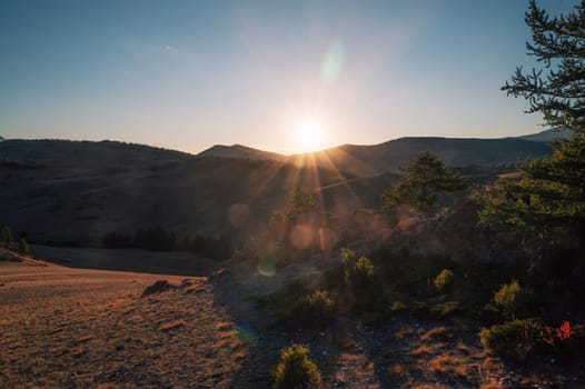 A breathtaking sunset over a rugged mountain landscape, casting warm golden light across hills, trees, and rocky terrain. Altai Mountains