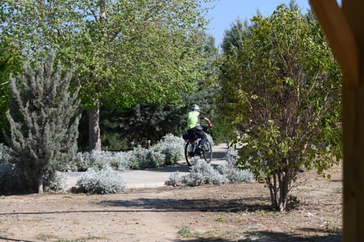 A cyclist clad in a bright outfit pedals along a winding path while surrounded by lush trees and flourishing shrubs. The tranquil ambiance is perfect for an outdoor adventure.