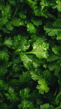 Lush leafy greens glisten with citrus droplets against a deep green background. The intricate veins and rich texture reveal seasonal freshness and intimate detail for a captivating natural display.