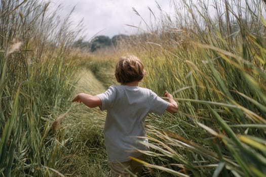 A young boy runs freely through tall green grass on a sunny day, embodying childhood joy and exploration. Ideal for nature themes, outdoor lifestyle, and summer memories