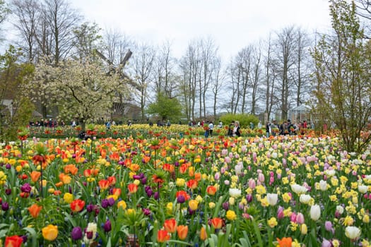 Lisse, Netherlands - April 17, 2019: Numerous people walk in a Keukenhof park