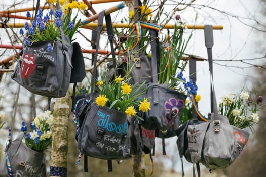 Lisse, Netherlands - April 17, 2019: Muscari daffodils hang in a vintage bag