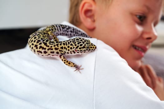 A child smiles while a leopard gecko rests on their shoulder, showcasing a playful moment between the child and their pet at home in daylight.