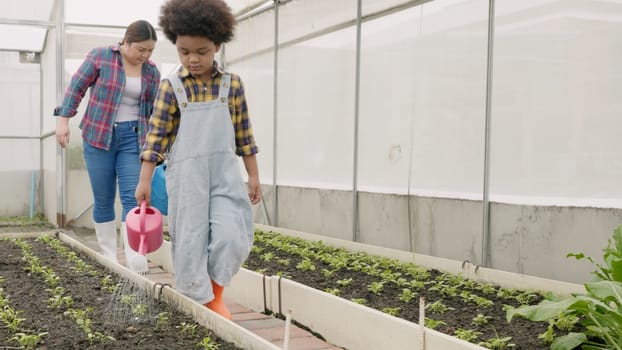 Mother and son watering can waters the plants vegetables in garden, helps to take care of them, Woman and child boy gardening together planting, Concept of healthy eating growing vegetables at home