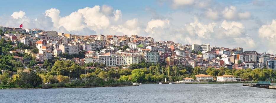 On a sunny summer day, Istanbul, Turkey, presents a picturesque landscape along its coast. Dense, majestic trees adorn the verdant mountains, while residential houses dot the horizon