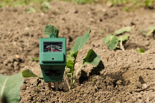 Green plants and three way meter PH, light and moisture in the soil. High technology agriculture concept