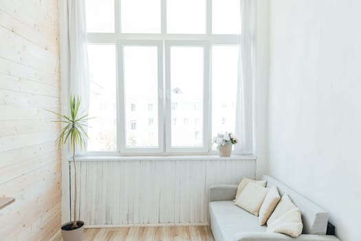 Armchair and green plant in the interior of an empty room with a window