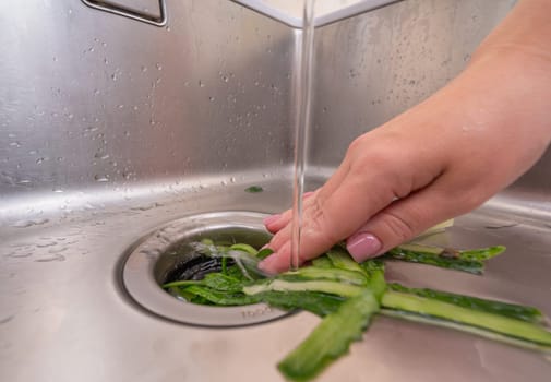 Eco-friendly kitchen cleanup: organic waste going into a sink disposal unit.