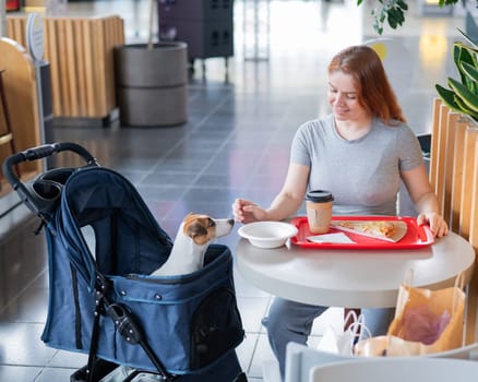 Caucasian woman having lunch in a cafe with her Jack Russell terrier dog in a stroller