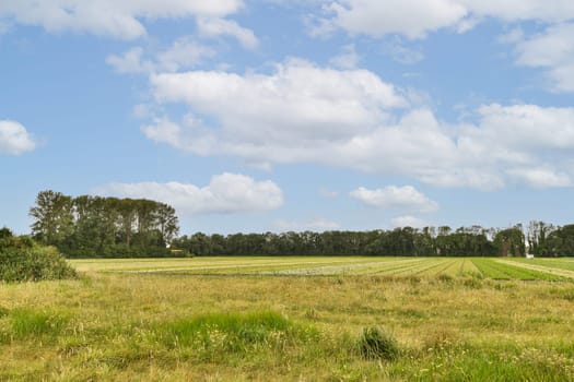 A beautiful landscape features expansive green fields and a sky scattered with clouds, showcasing nature's beauty and tranquility.