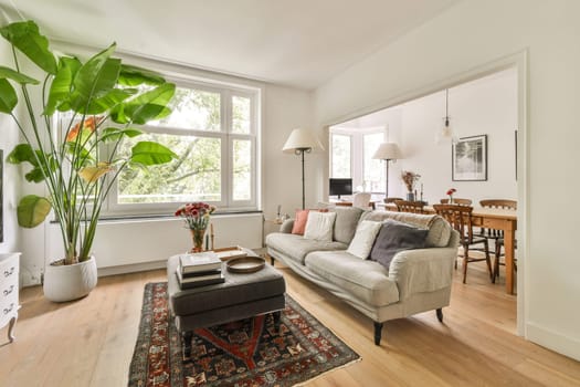 A stylish modern living room with abundant natural light, featuring a sofa, decorative plants, and a cozy atmosphere that feels warm and welcoming.
