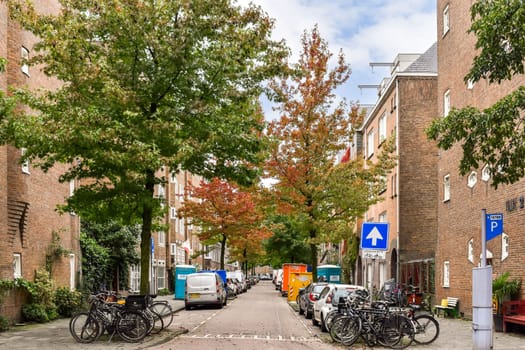 A peaceful city street lined with trees showcasing stunning autumn foliage, surrounded by parked cars and bicycles, evoking a sense of tranquility.