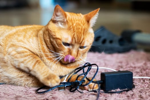 A playful cat is curiously licking its nose while engaged in a silly game with some dangling wires nearby, clearly enjoying itself