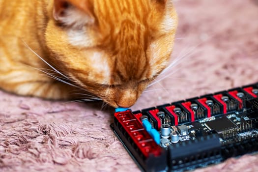 A curious cat is sniffing a piece of electronic equipment, exploring it with its whiskers and snout, showing typical feline behavior