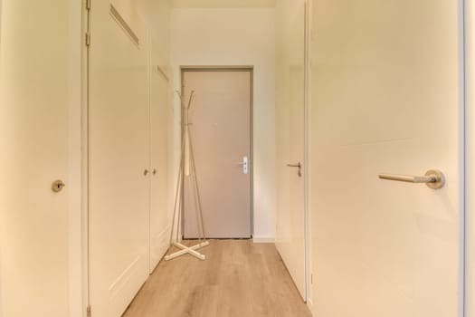 A contemporary entrance hall featuring minimalist design with light walls and wooden flooring, complemented by a stylish coat rack and a sleek door.