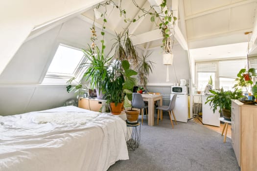 An inviting indoor space filled with various houseplants, featuring a cozy bed, dining area, and natural light creating a serene environment.