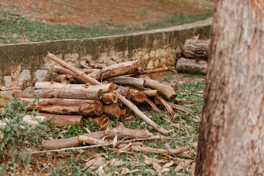 Neatly arranged pile of firewood logs outdoors in a rustic environment, perfect for winter gatherings, featuring a cozy and warm atmosphere with green grass