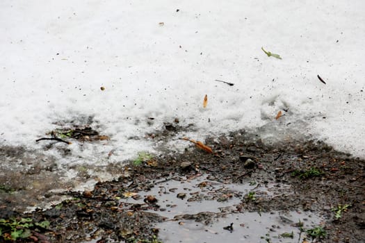 The boundary between snow and thawed soil.