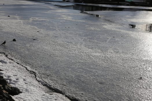 Ice floes on the water in spring. The river began to melt.
