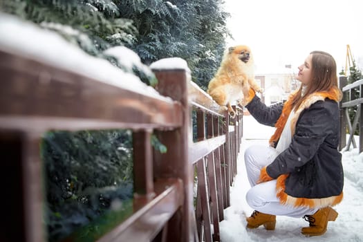 A cheerful Pomeranian dog is being lovingly petted by its owner while walking through a snowy landscape.