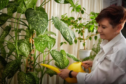 Woman joyfully waters her houseplants in a comfortable room filled with greenery and natural light.