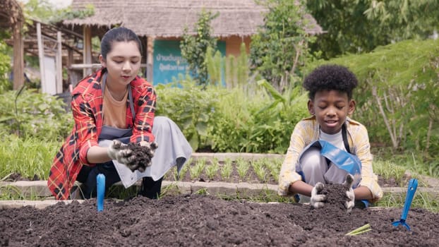 Happy children group girl and boy of diverse learning environment for plants vegetable at garden farm they holding black soil on hands, Ecology, agriculture school learning