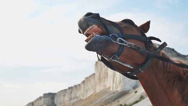 Horse neighing with White Rock cliff in background, near the town of Belogorsk in Crimea