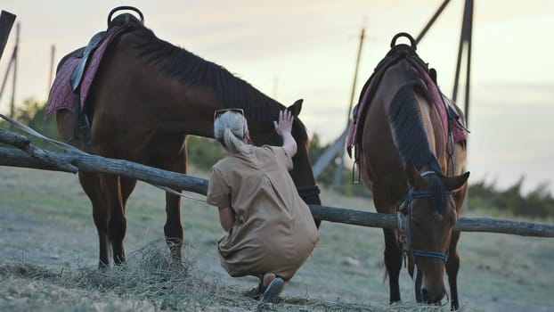 Female rancher taking care of her horses in a paddock at sunset, creating a peaceful rural scene